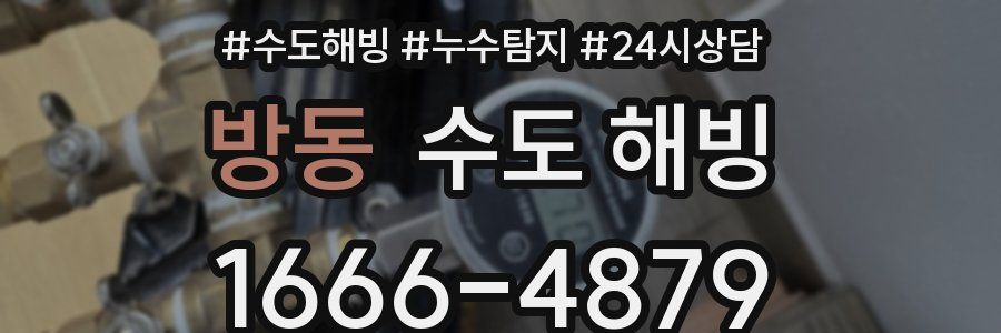 방동 수도 해빙