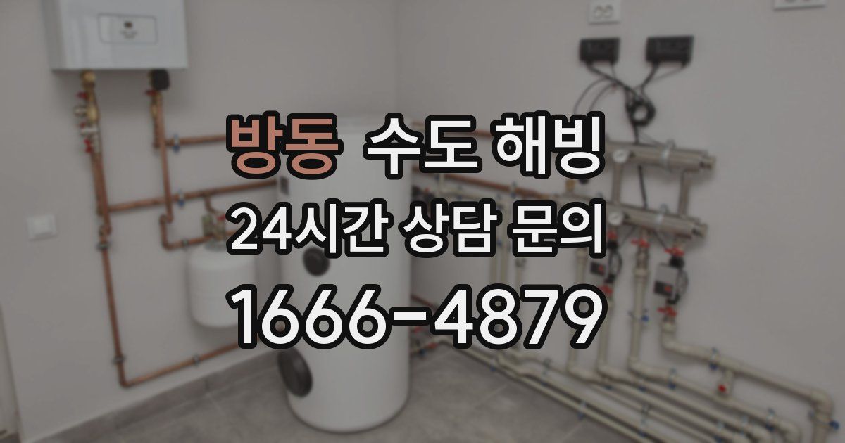 방동 수도 해빙