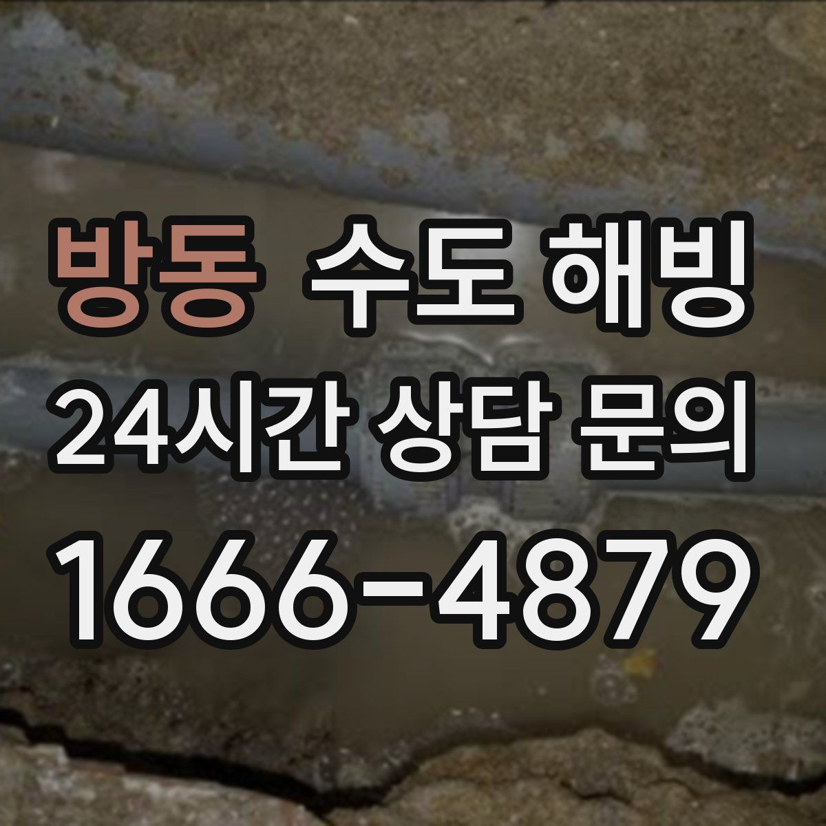 방동 수도 해빙