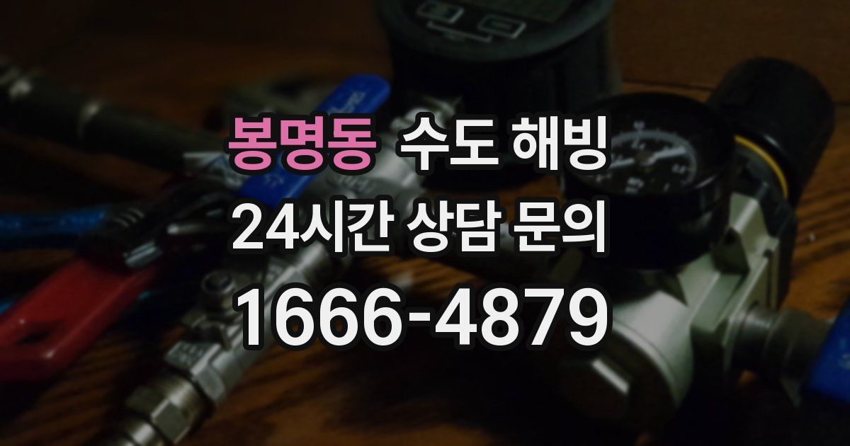 봉명동 수도 해빙