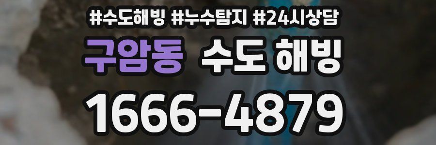 구암동 수도 해빙