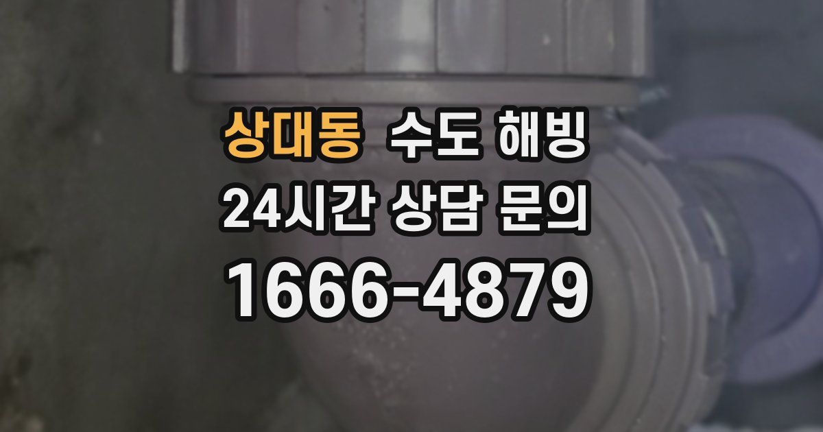 상대동 수도 해빙