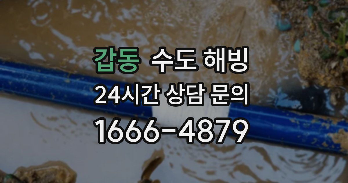 갑동 수도 해빙