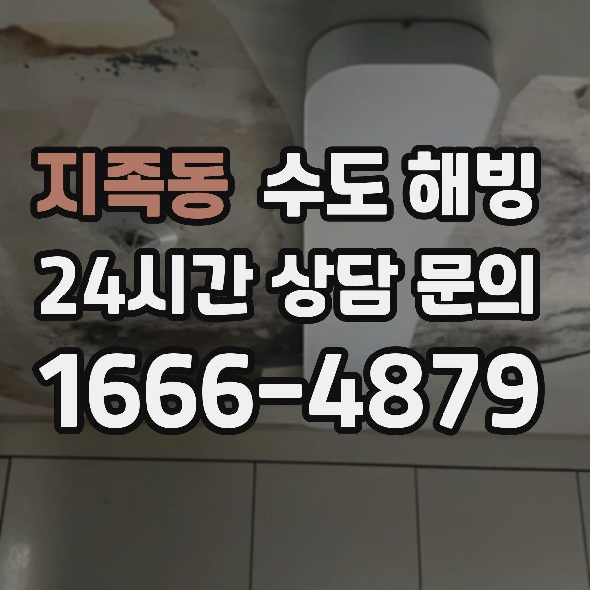 지족동 수도 해빙