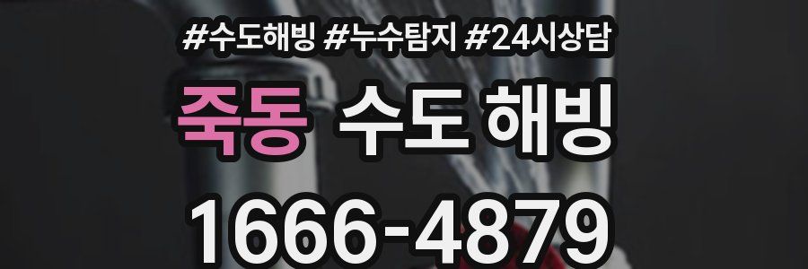 죽동 수도 해빙