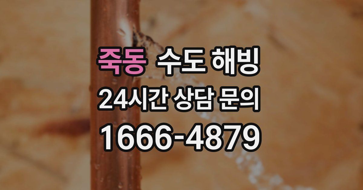 죽동 수도 해빙