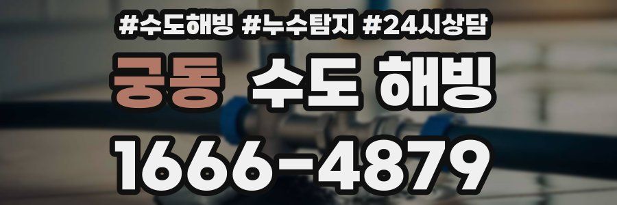 궁동 수도 해빙