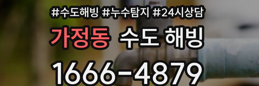 가정동 수도 해빙