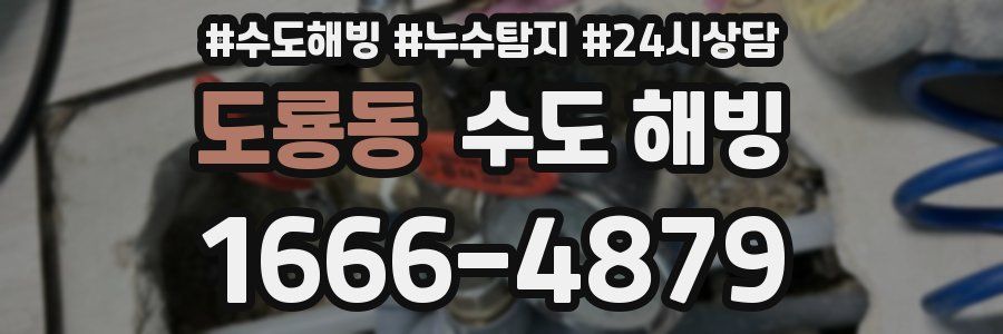 도룡동 수도 해빙
