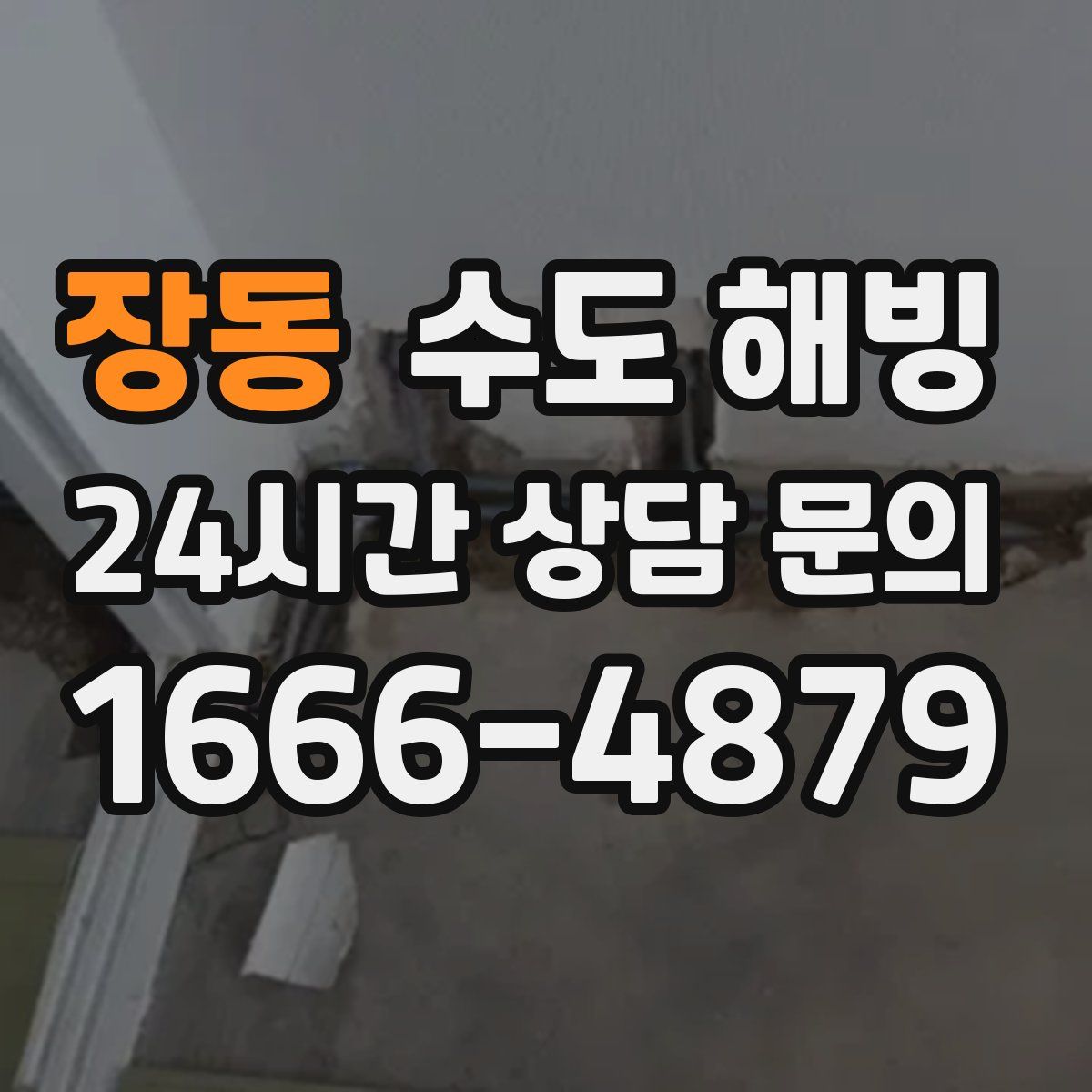 장동 수도 해빙