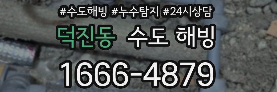 덕진동 수도 해빙