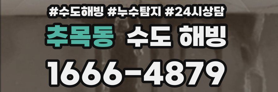 추목동 수도 해빙