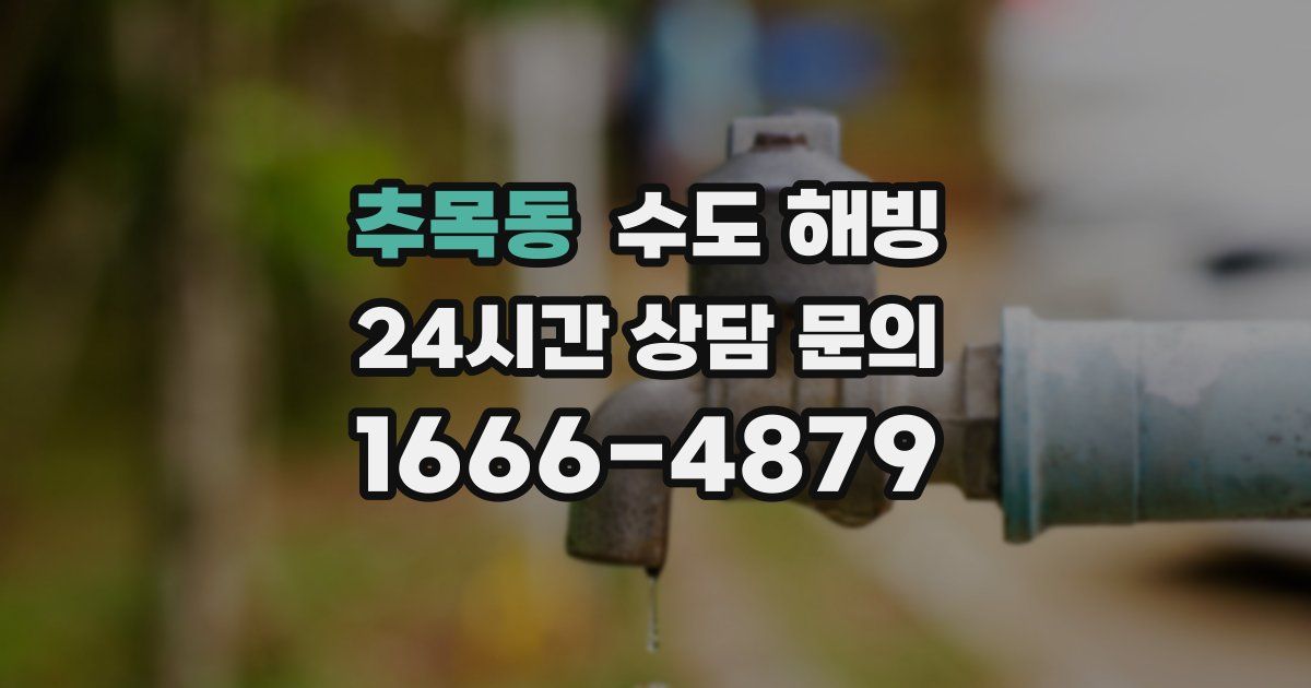 추목동 수도 해빙