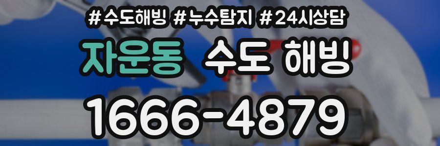 자운동 수도 해빙