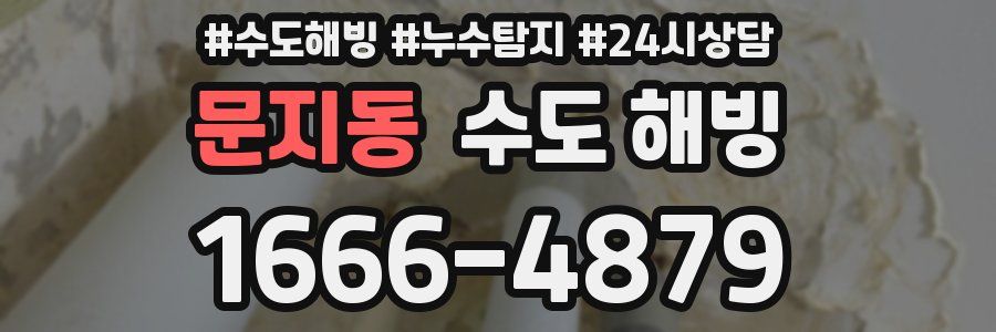 문지동 수도 해빙