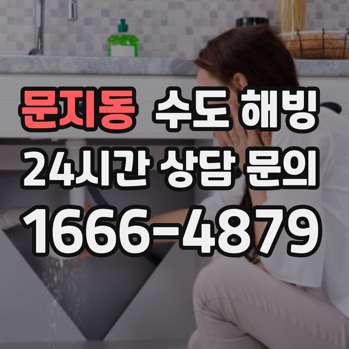 문지동 수도 해빙