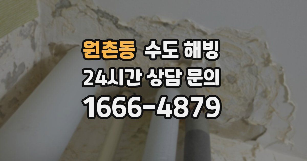 원촌동 수도 해빙