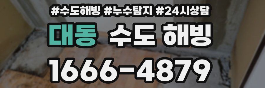 대동 수도 해빙