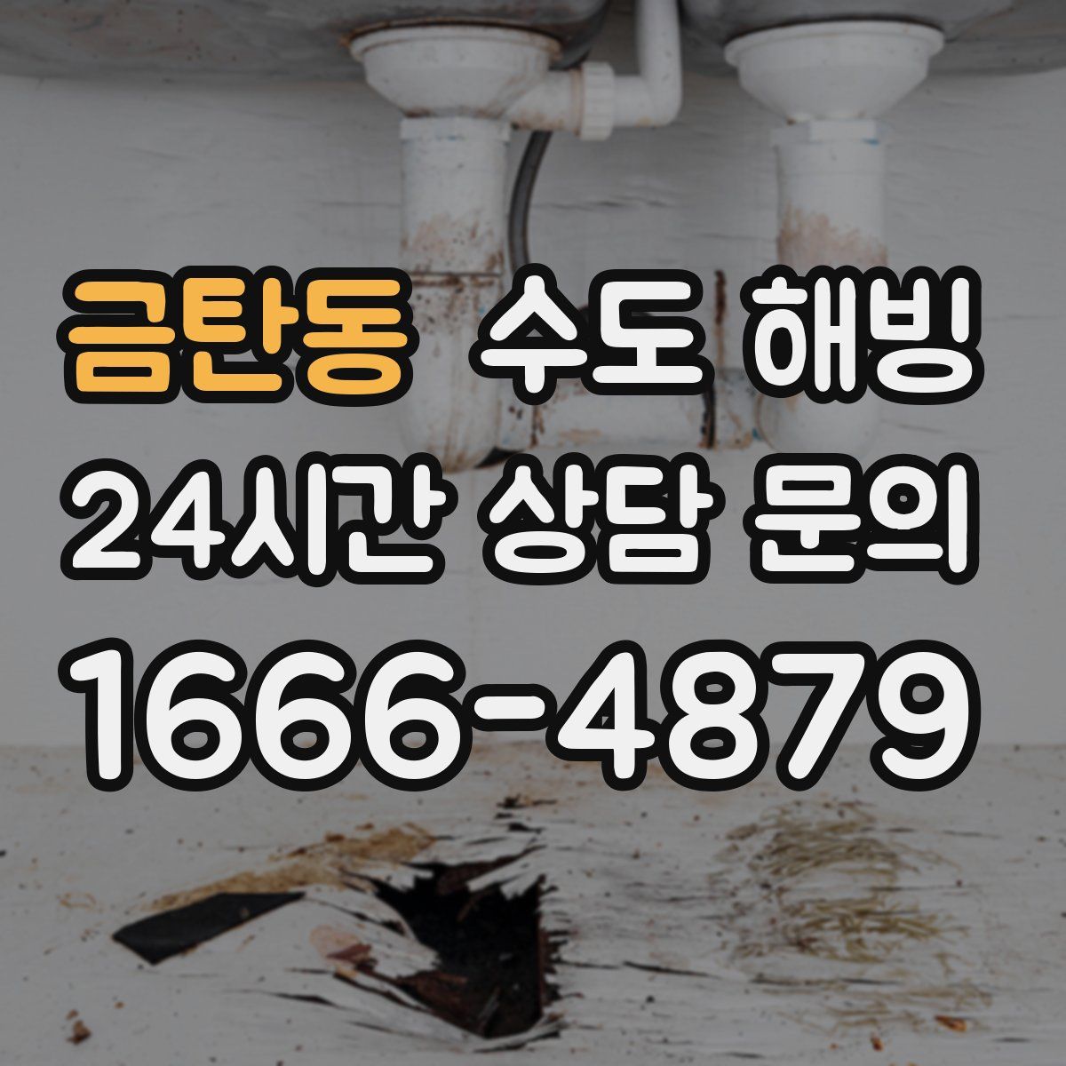 금탄동 수도 해빙