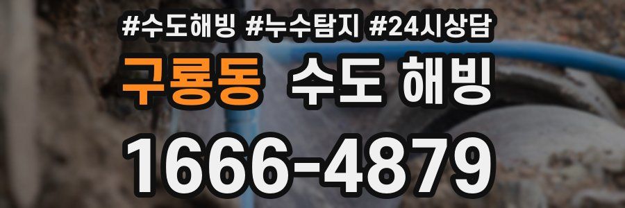 구룡동 수도 해빙