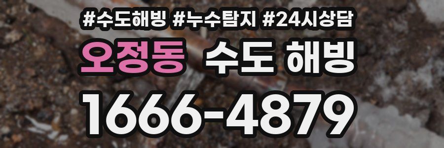 오정동 수도 해빙