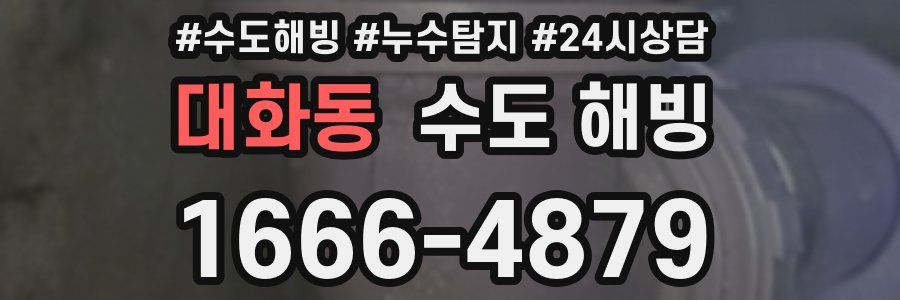 대화동 수도 해빙