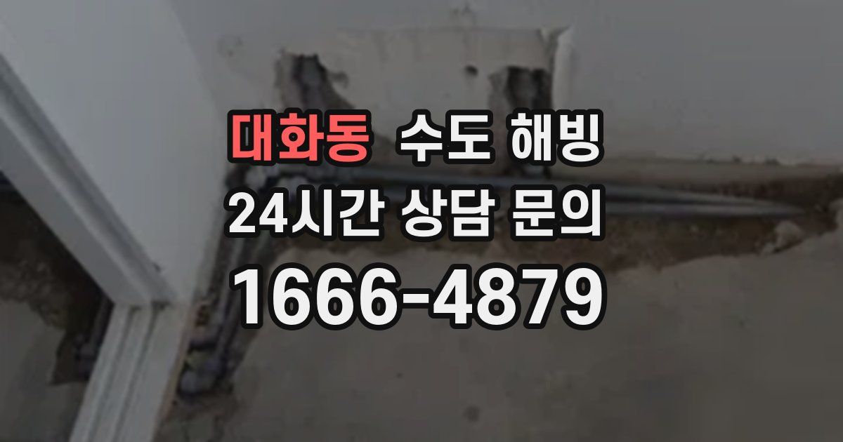 대화동 수도 해빙