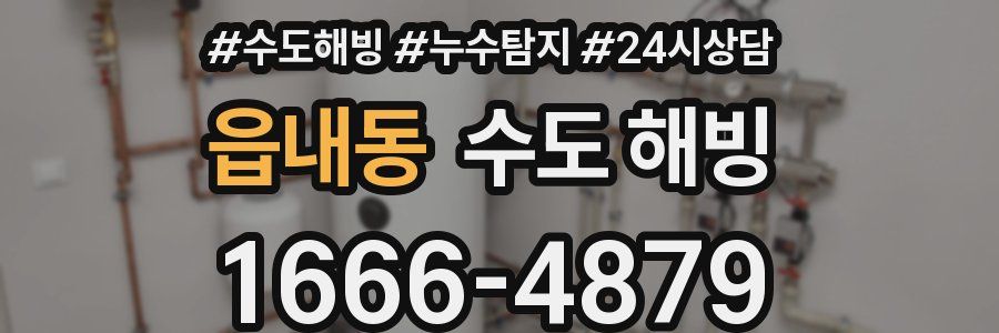 읍내동 수도 해빙