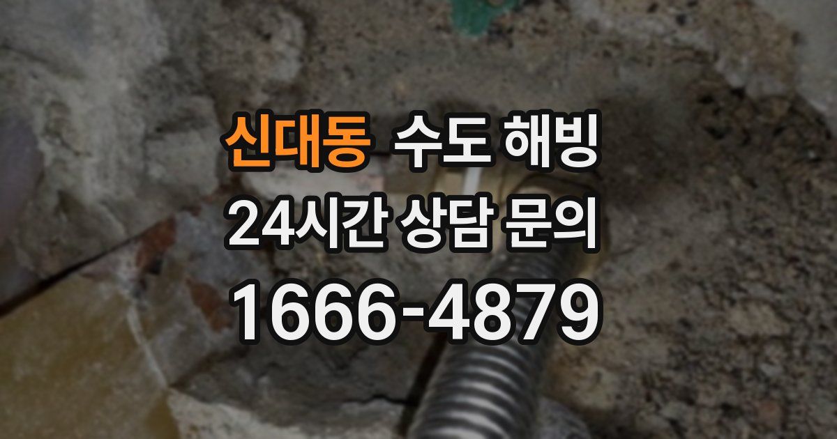 신대동 수도 해빙