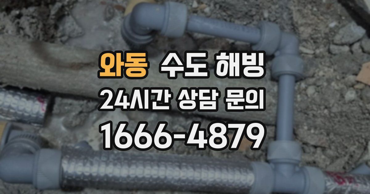 와동 수도 해빙