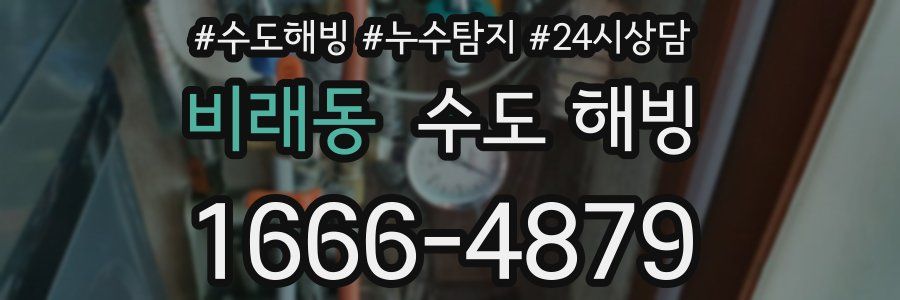 비래동 수도 해빙