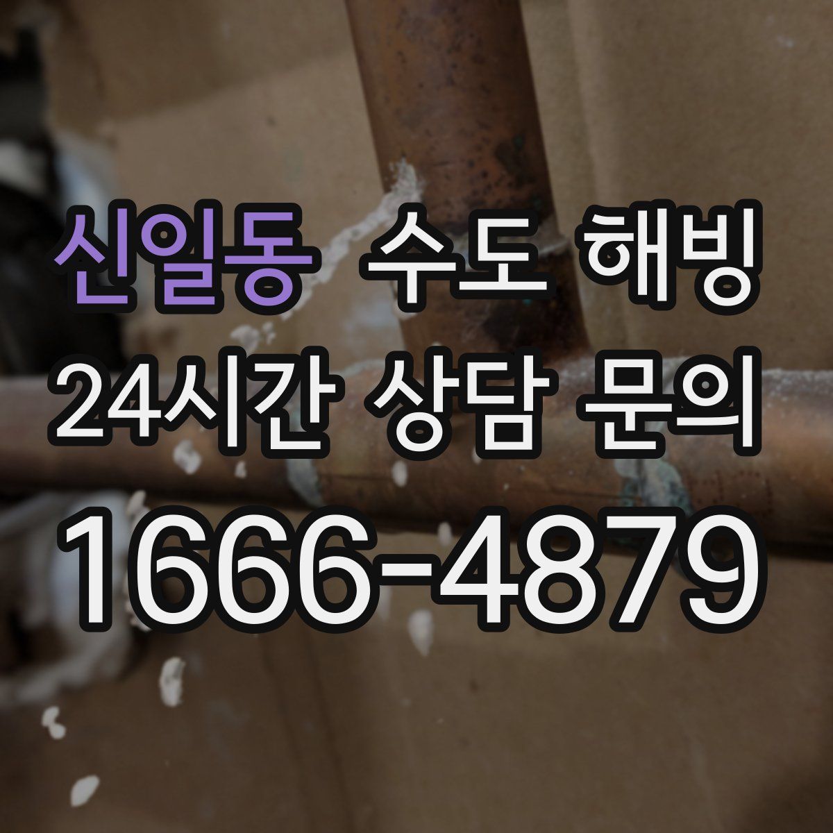 신일동 수도 해빙