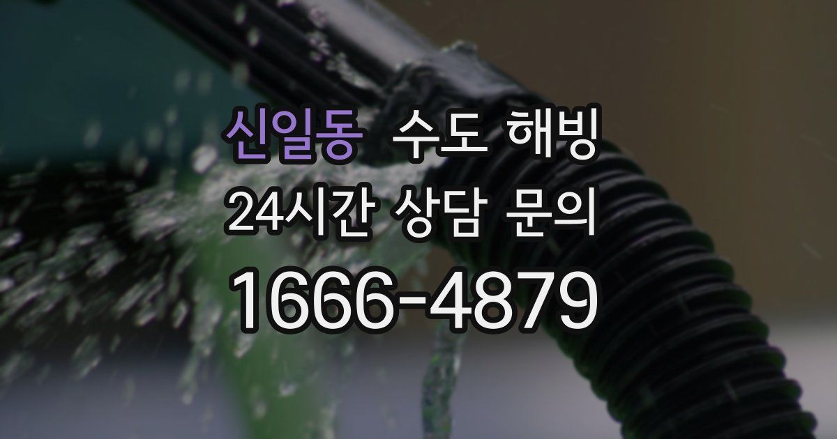 신일동 수도 해빙