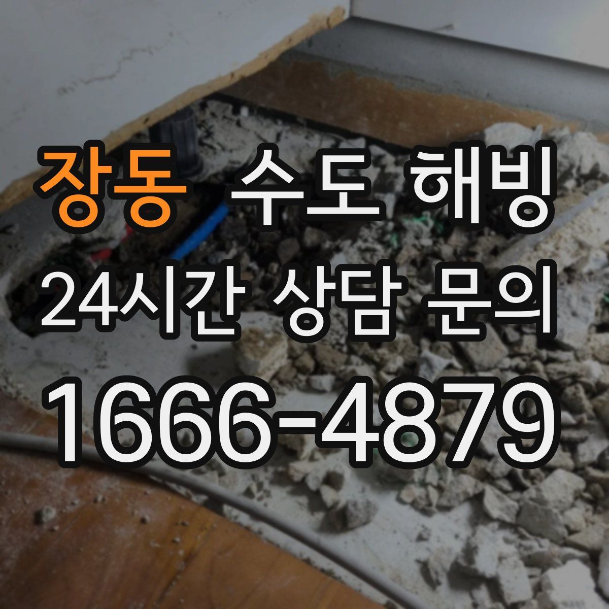 장동 수도 해빙