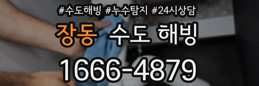 장동 수도 해빙