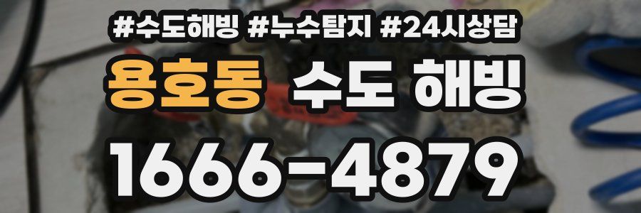 용호동 수도 해빙