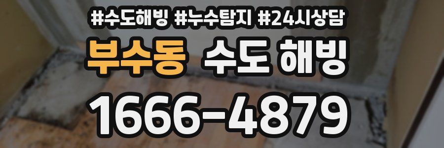 부수동 수도 해빙