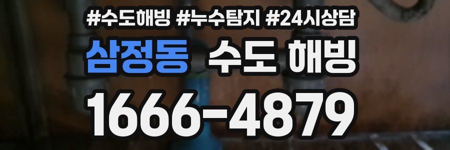 삼정동 수도 해빙