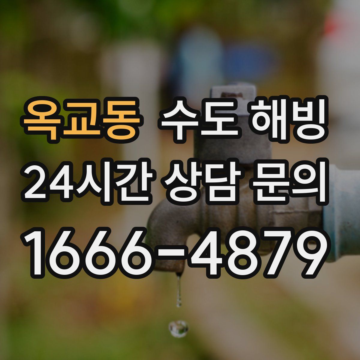 옥교동 수도 해빙