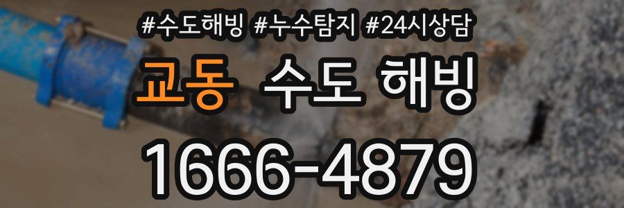 교동 수도 해빙