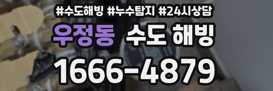 우정동 수도 해빙