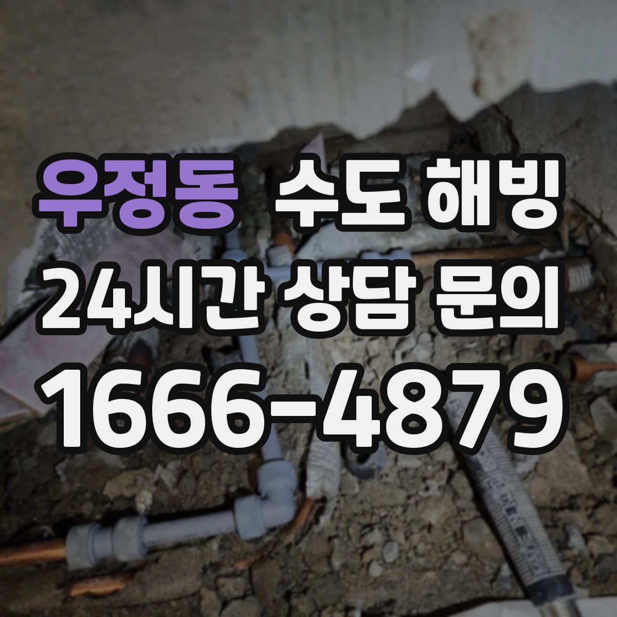 우정동 수도 해빙