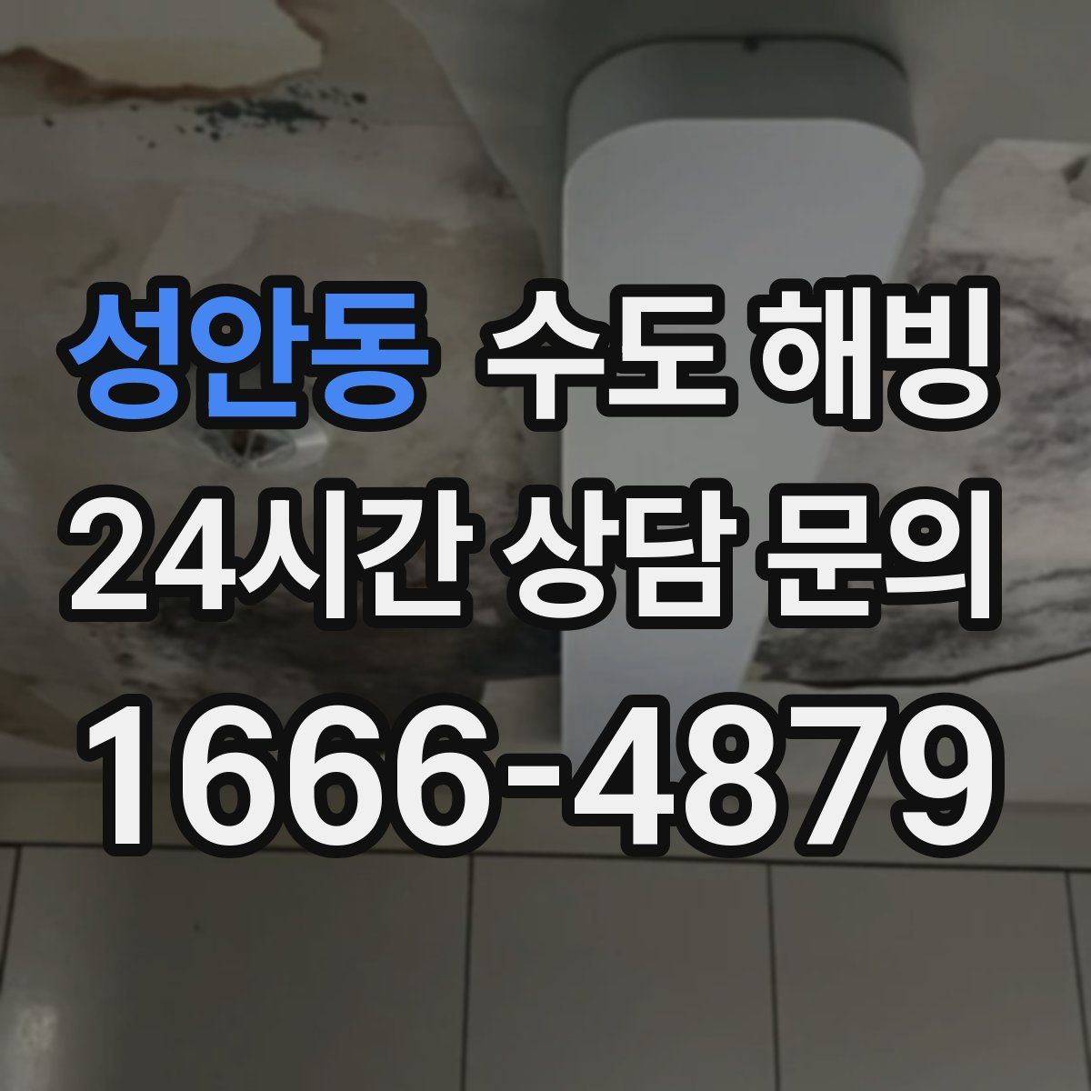 성안동 수도 해빙