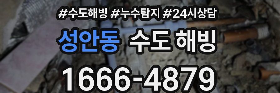 성안동 수도 해빙