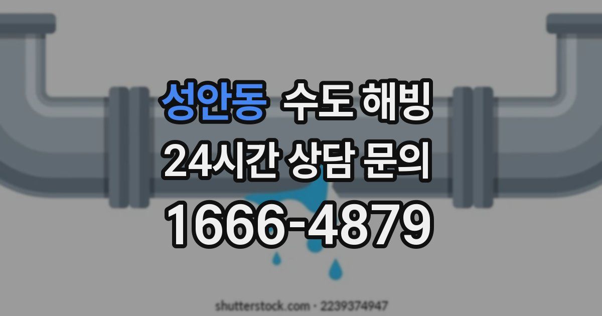 성안동 수도 해빙