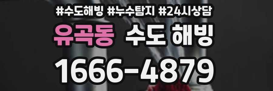 유곡동 수도 해빙