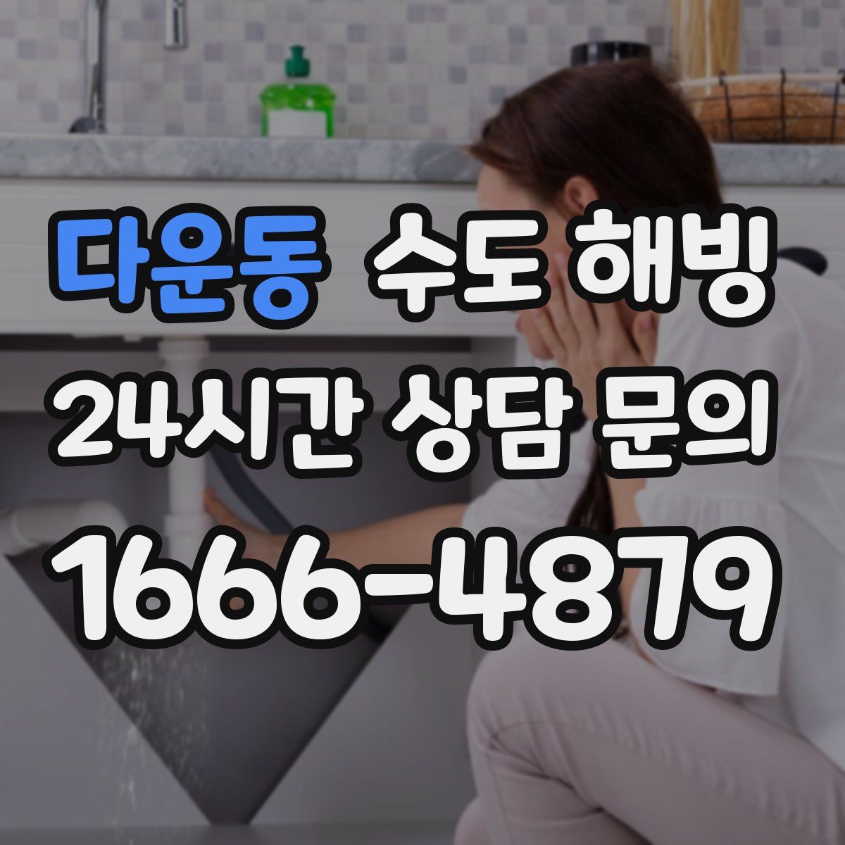 다운동 수도 해빙