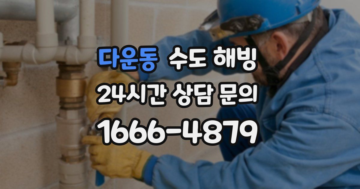 다운동 수도 해빙