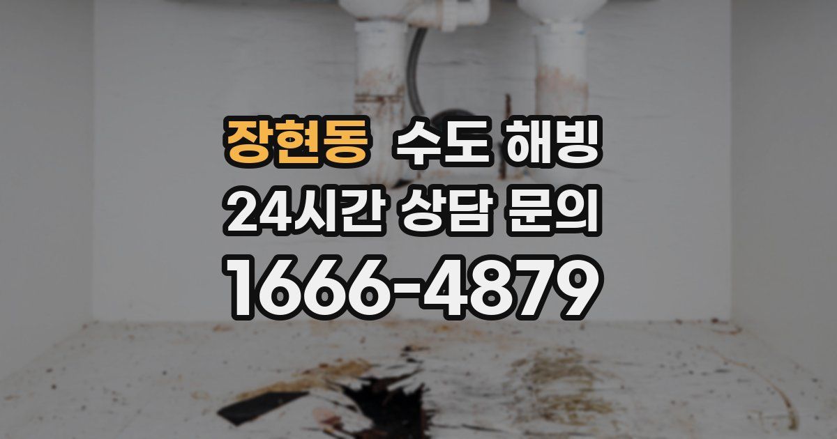 장현동 수도 해빙
