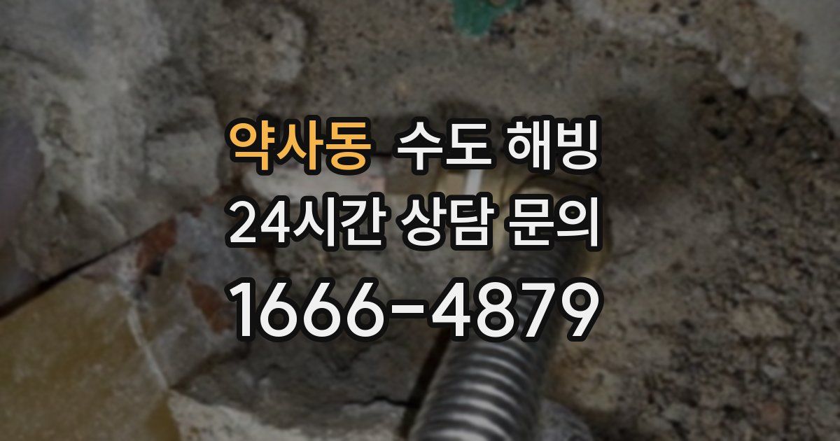 약사동 수도 해빙